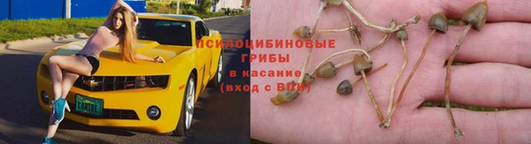 Альфа ПВП Вязники